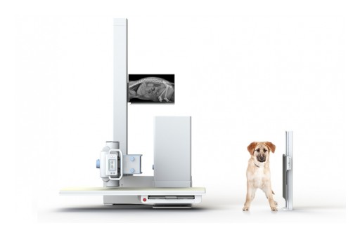 MyVet Imaging Table Horizontal Beam Exam